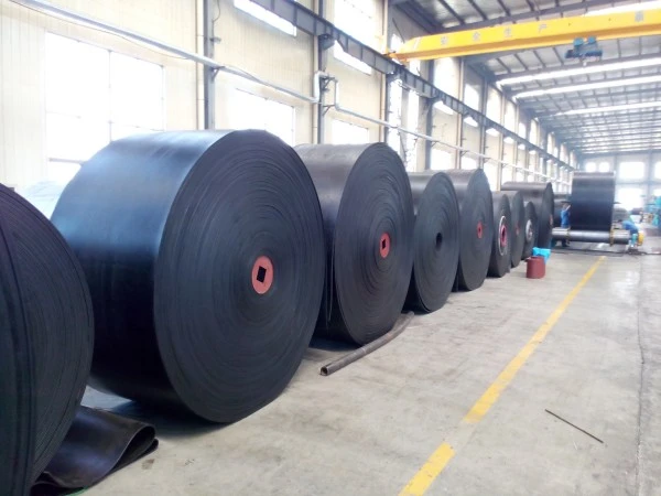 NN Conveyor Belt